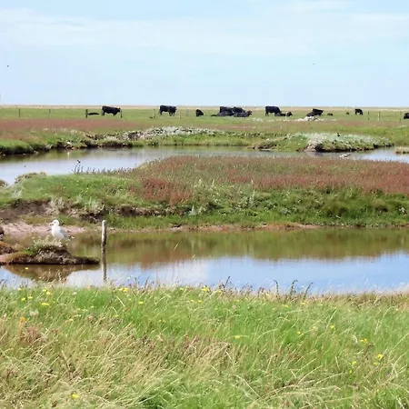 Apartment Haus Halligblick, Am Wattenmeer, Whghooge *
